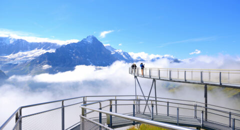 9 من أفضل فنادق وأماكن الإقامة في جريندلوالد سويسرا