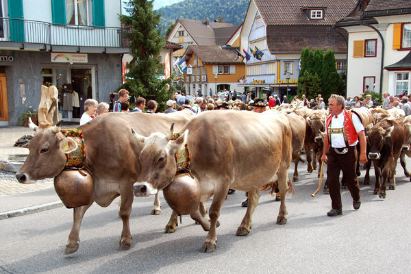 مهرجانات سويسرا 