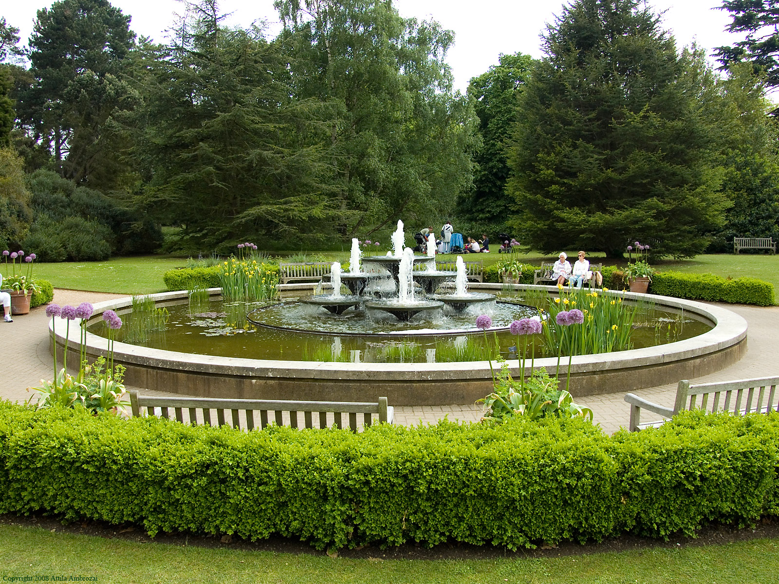 حديقة جامعة كامبريدج النباتية
