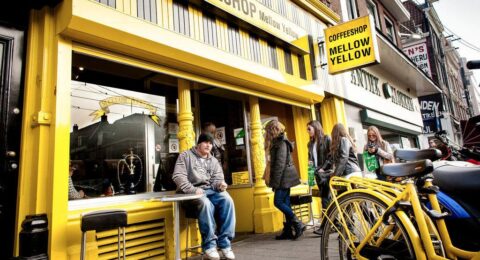 6 من أفضل المقاهي في هولندا امستردام