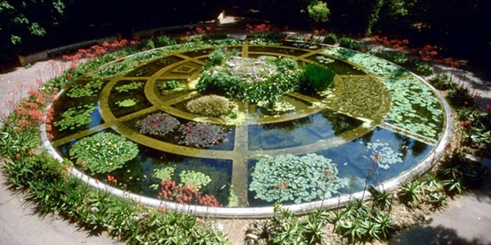 حديقة باليرمو النباتية