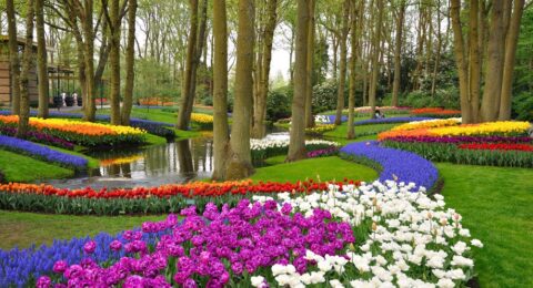 أفضل 5 من حدائق بلجيكا لا تفوت زيارتهم اثناء عطلتك السياحية