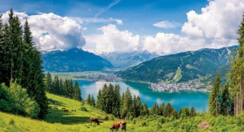 اذا كنت من محبي الطبيعة الساحرة فعليك زيارة الريف النمساوي